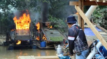 Aksi Nekat Penambang Emas Ilegal di Riau Berakhir di Tangan Polisi